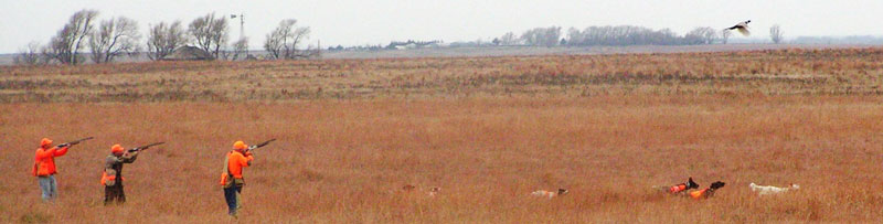 Kansas pheasant hunting preserves