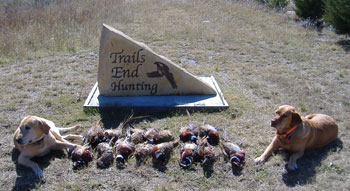 Kansas pheasant hunting lodges