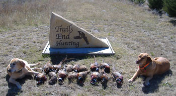Kansas pheasant hunting lodges